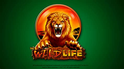 play wild life slots online